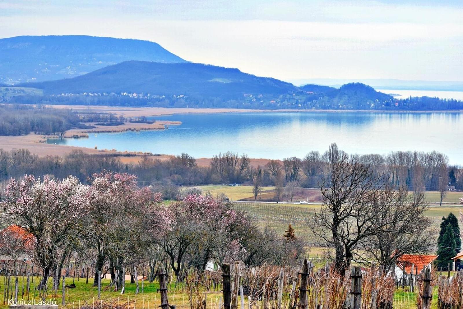 Platan Apartmanhaz Balatongyörök Zewnętrze zdjęcie